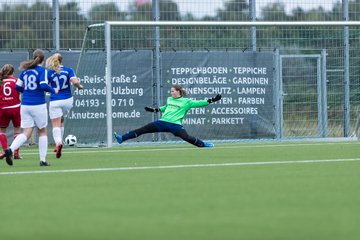 Bild 132 - F FSG Kaltenkirchen - SV Wahlstedt : Ergebnis: 6:1